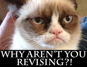 Revision with Grumpy-Cat